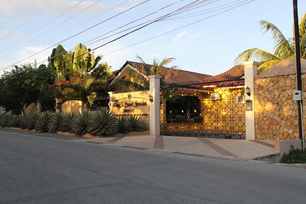 Alona'S Coral Garden Resort (Adults Only) Panglao Exterior foto